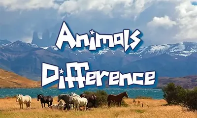 Animal Differences, naslovna slika igre