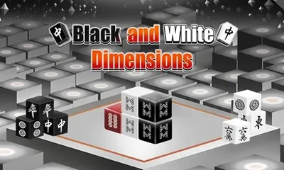 Black and White Dimensions game cover