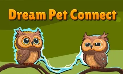 Dream Pet Connect game cover