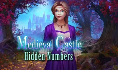 Medieval Castle Hidden Numbers game cover
