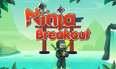 Ninja Breakout game cover