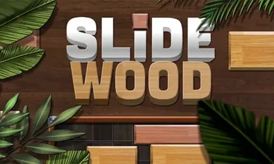 Slide Wood game cover